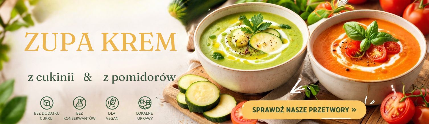 Zupa krem na wiosne KROKUS